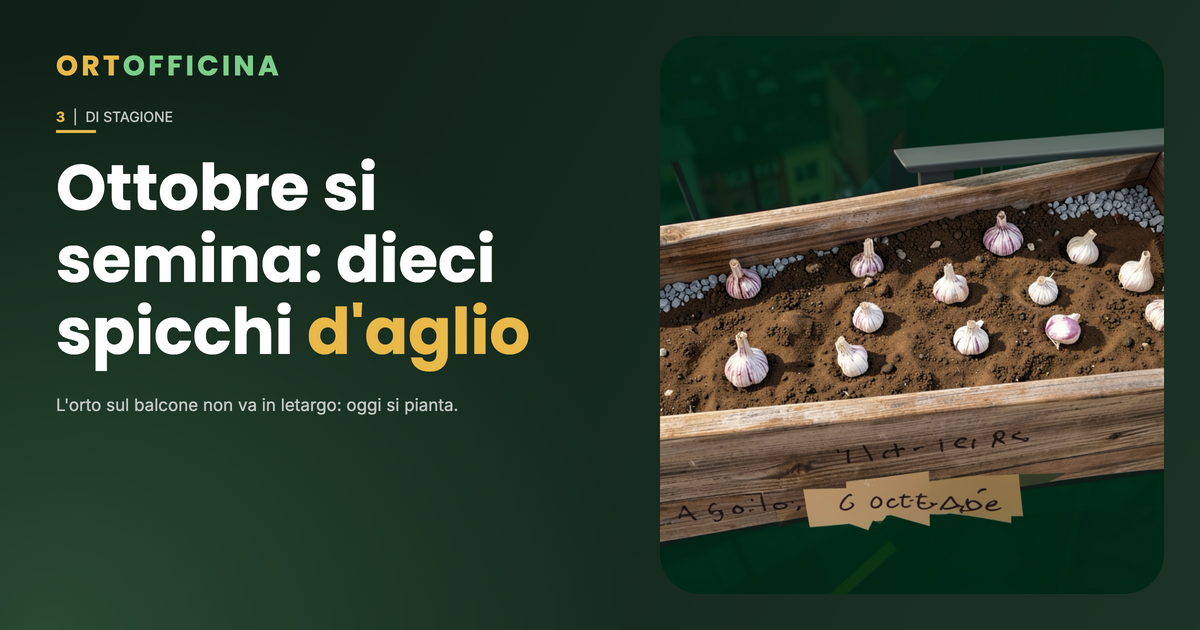 Copertina Ortofficina: cassetta di legno su un balcone di città con ghiaia sul fondo e dieci spicchi d'aglio piantati con la punta in su, etichetta "Aglio, 6 ottobre"